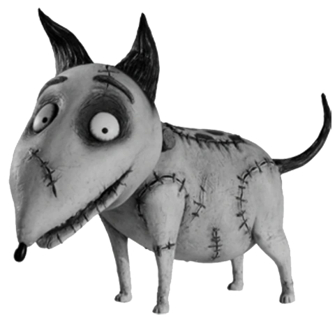The dog Sparky